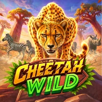 Cheetah Wild